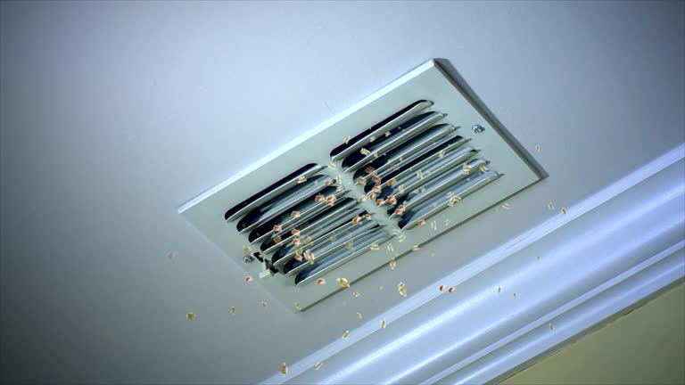 Best Air Duct Cleaning Near Me  in Joppatowne, MD