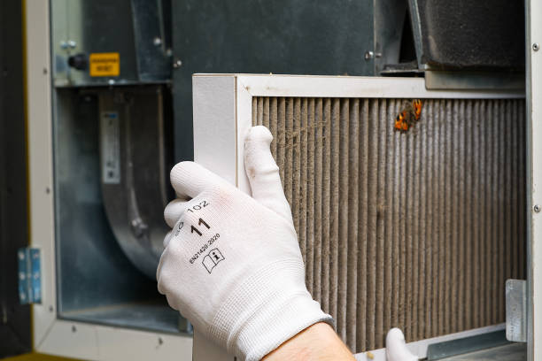 Best Air Duct Cleaning Near Me  in Joppatowne, MD